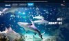 Visit Sea Life Reviews 2020 Is VisitSeaLife Legit Safe website