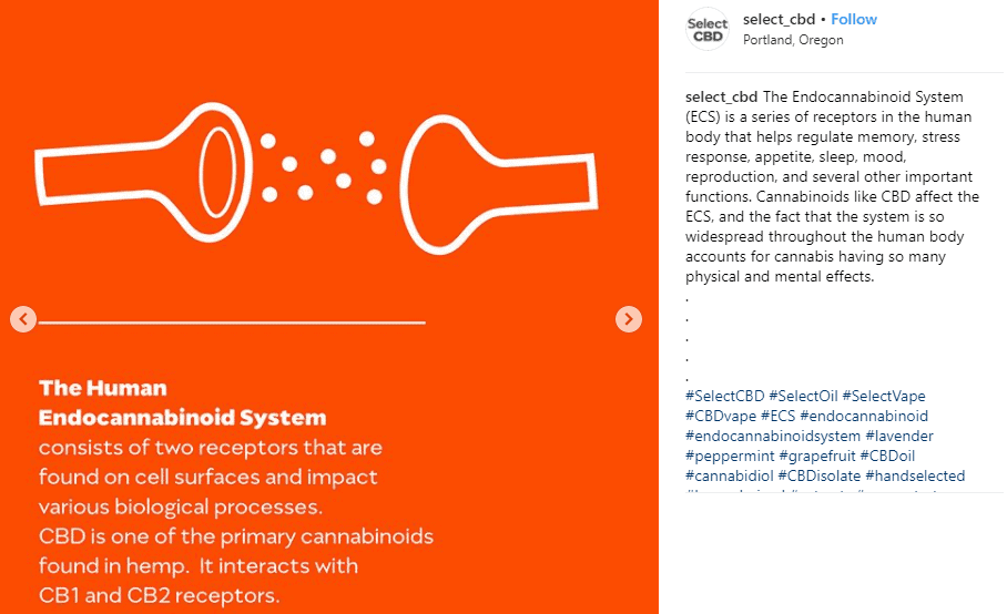 cbd-human-endocannabinoid-system-receptors-selectoil