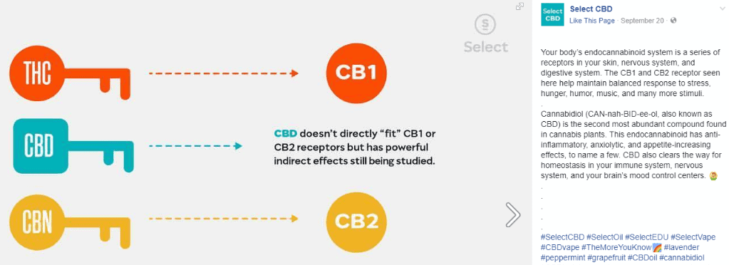 select cbd disposable pen endocannabinoid system