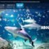 GiftsNIdeas.com Reviews 2024