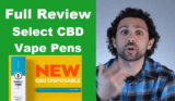 Select CBD Pen Reviews