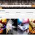 Apparel Zoo Reviews 2024