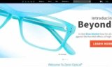 Zenni Optical Reviews 2024